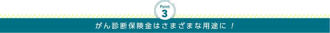 がん診断保険金はさまざまな用途に!